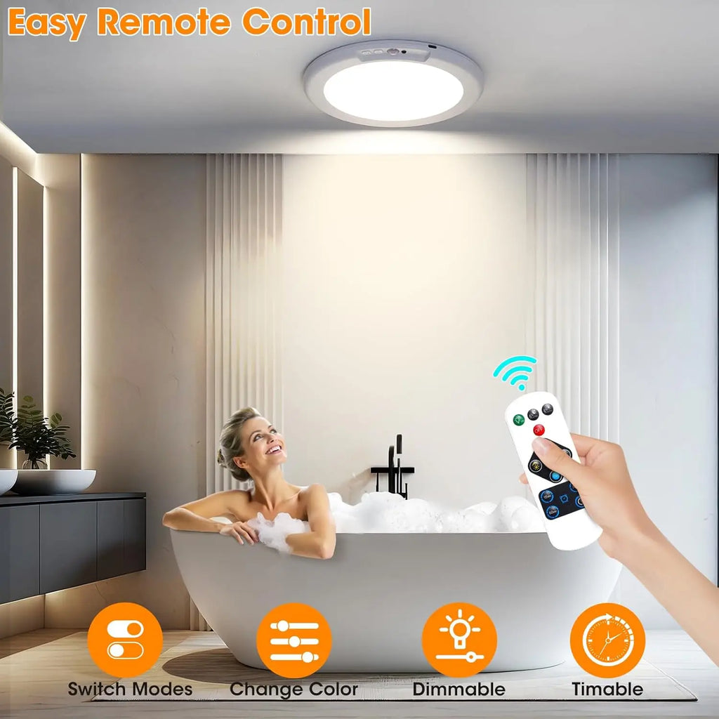 Motion Sensor Ceiling Light