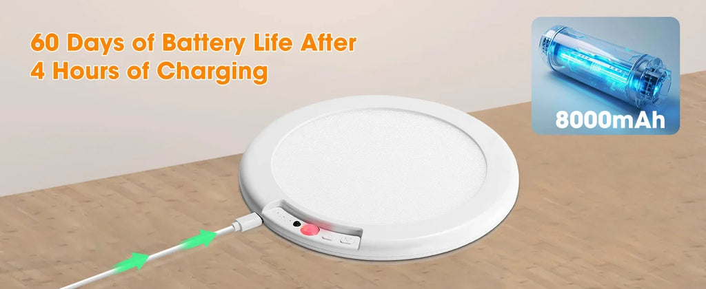 Motion Sensor Ceiling Light