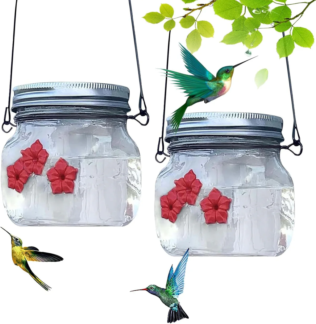 Mason Jar Hummingbird Dish Feeder Hanging Nectar Feeder 2 Pack